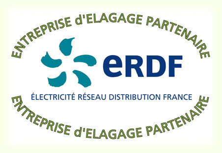 Entreprise d'élagage partenaire ERDF
